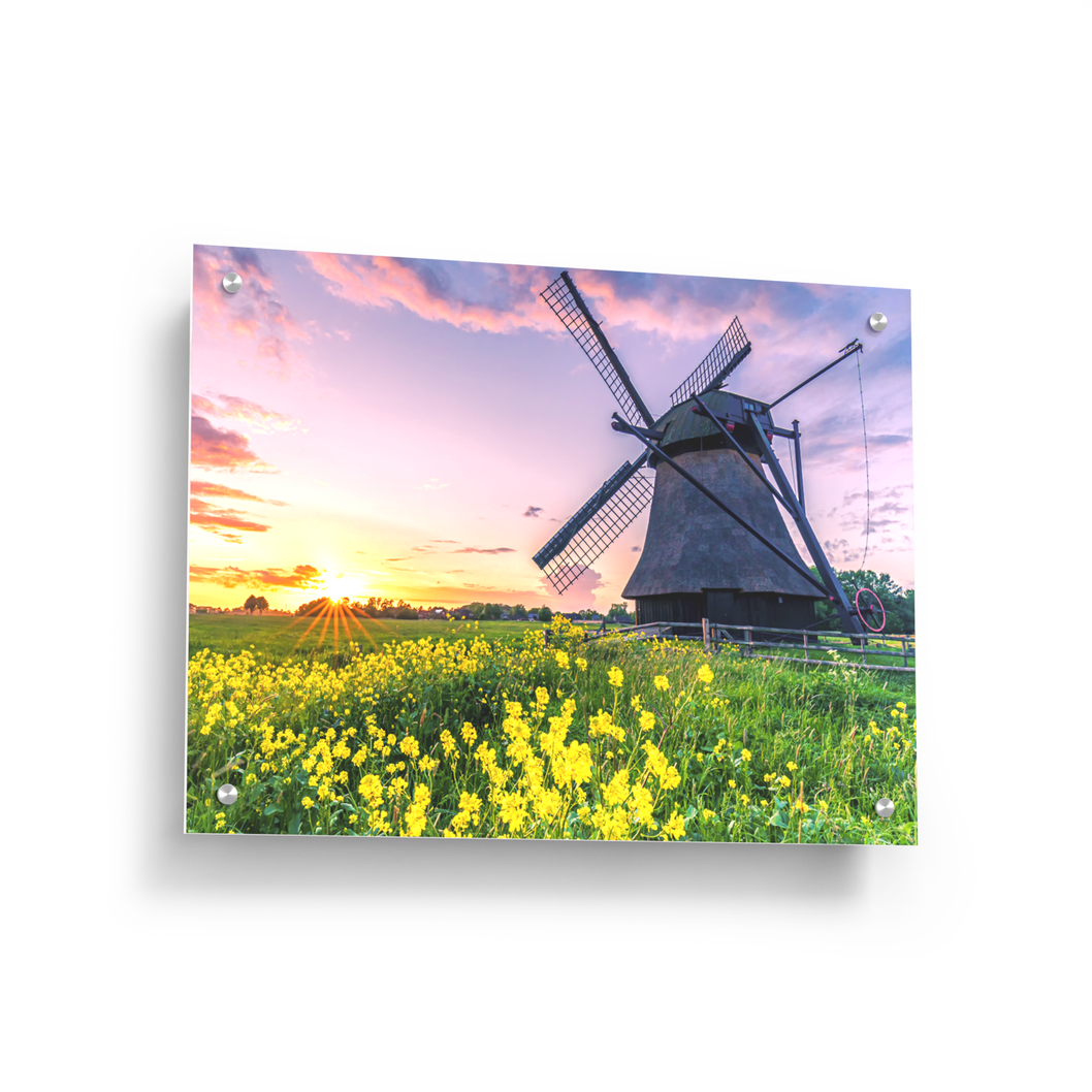 Acrylic Prints