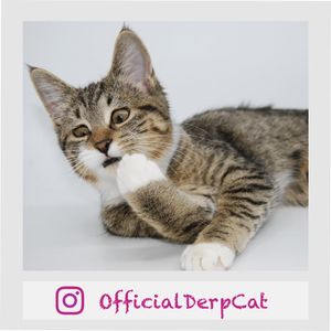 Square Business Cards