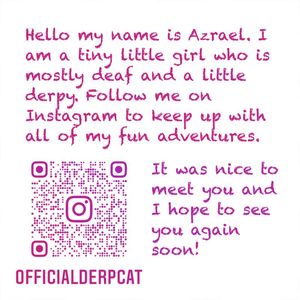 Square Business Cards