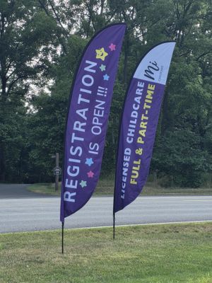 Vibrant and Beautiful!